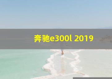 奔驰e300l 2019